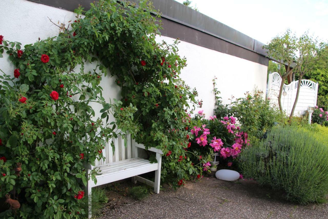 Schoene Zimmer Im Zentrum Leben Offenburg Exterior photo
